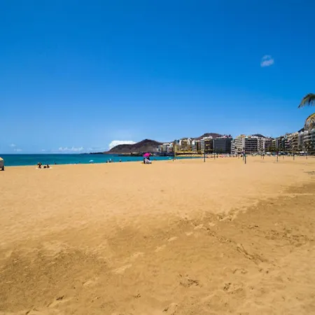 In Palmas De Gran Canaria Las Palmas de Gran Canaria